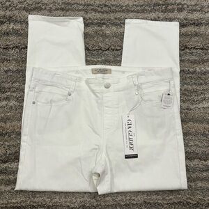 Liverpool Gia Glider Pull-On Slim Jean Sz 16W NWT | Liverpool Slim Straight Leg-